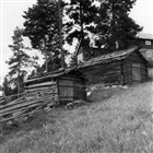 FRILUFTSMUSEUM UTHUS BONDGÅRD