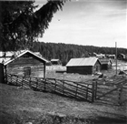 FRILUFTSMUSEUM BASTU LADUGÅRD FÅRHUS BONDGÅRD