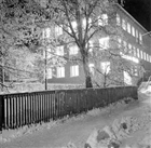 VINTERBILD