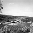 ÄLV SKOG