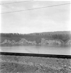 VATTENDRAG SKOG