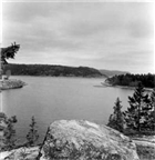 HAVSKUST