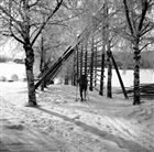 VINTERBILD MAN SKIDÅKNING