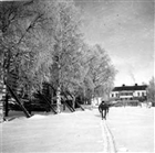 VINTERBILD BOSTADSHUS MAN SKIDÅKNING