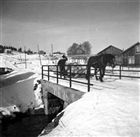 LANDSVÄGSBRO HÄSTTRANSPORT MAN HÄST VINTERBILD