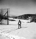MAN SKIDÅKNING VINTERBILD