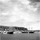 BRÄDGÅRD SEGELFARTYG ÄLV