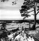 JORDBRUKSBEBYGGELSE