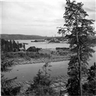 SÅGVERK BRÄDGÅRD
