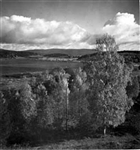 TIMMER ÄLV
