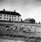 LANTHUSHÅLLSSKOLA SKOLELEVER