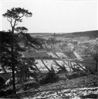 STADSVY