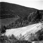 BARRSKOG ÄLV