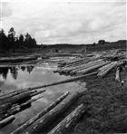 FLOTTNING TIMMER ÄLV