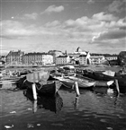 BÅT HAMN STADSVY