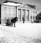 VINTERBILD BANK HÄSTTRANSPORT