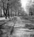 KYRKOGÅRD