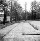 KYRKOGÅRD