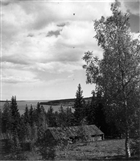 FRILUFTSMUSEUM FRILUFTSMUSEUM FÄBOD HAV