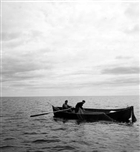 FISKARE