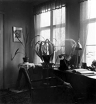 BOSTADSINTERIÖR