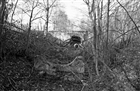 VATTENKRAFTVERK VATTENTRANSPORT