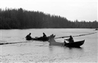 FLOTTNING