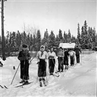 VINTERBILD SKIDÅKARE