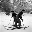 VINTERBILD SKIDÅKARE