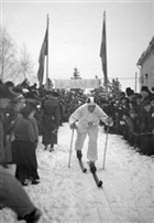 VINTERBILD SKIDOR