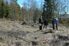 ARKEOLOGI GRAV GRAVFÄLT MÄNNISKOR