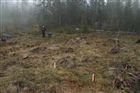 ARKEOLOGI GRAV GRAVFÄLT ARKEOLOGISK UNDERSÖKNING MAN