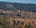 SKOG LANDSKAPSVY HÖGA KUSTEN