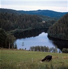 ÄNG SKOG VATTENDRAG HÖGA KUSTEN KO