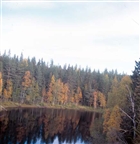 SKOGSMARK SJÖ