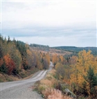 LANDSKAPSVY