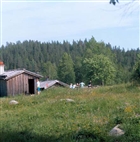 MÄNNISKOR