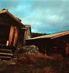 SKOG BYGGNADER