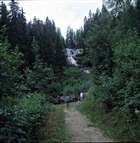 SKOGSMARK
