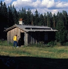 LADA MÄNNISKOR SKOGSMARK HEMBYGDSGÅRD