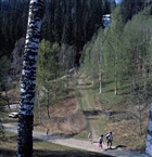 MÄNNISKOR BARN FRITID SKOG FORS