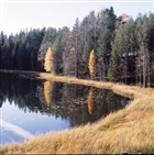 LANDSKAPSVY SJÖ SKOG