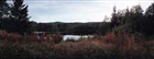 SJÖ SKOG LANDSKAPSVY