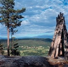 VÅRDKASE LANDSKAPSVY SKOG