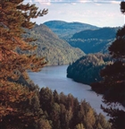 LANDSKAPSVY ÄLV SKOG