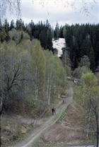 FORS