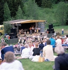 MUSIKFÖRESTÄLLNING MÄNNISKOR FRITID FOLKDANS