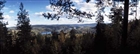 LANDSKAPSVY