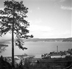 SÅGVERK INDUSTRIOMRÅDE