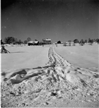 BONDGÅRD JORDBRUKSBEBYGGELSE VINTERBILD